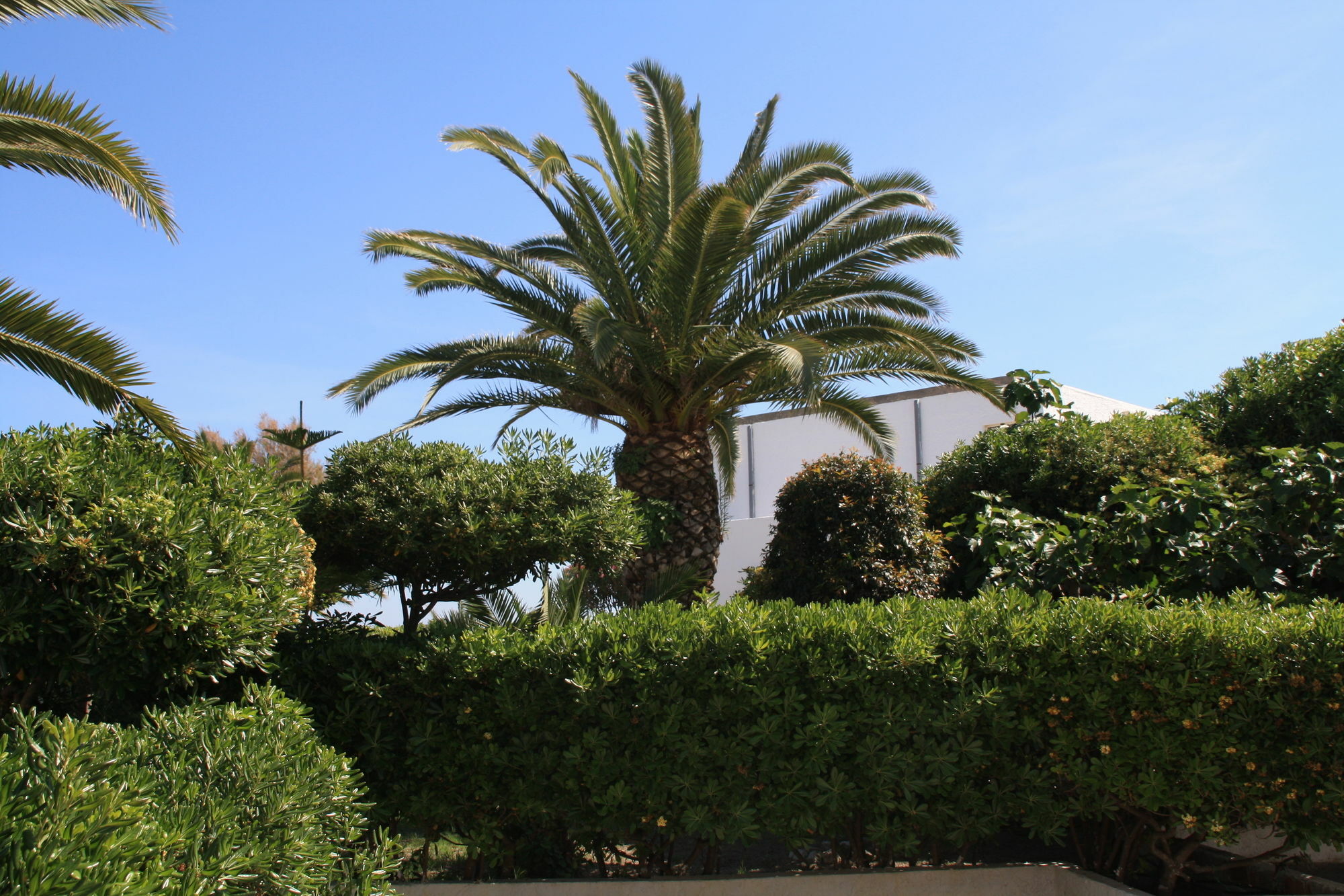 Hotel Villaggio Club Altalia Residence Brancaleone Exteriör bild